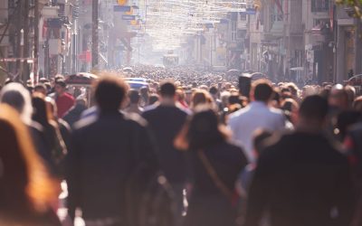 Searching For Business Loans